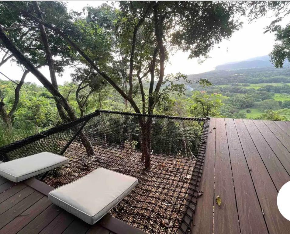 Sweet Jungle *