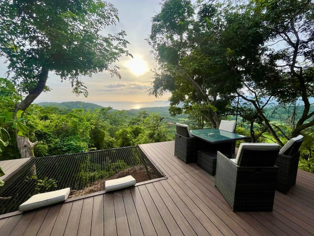 Sweet Jungle